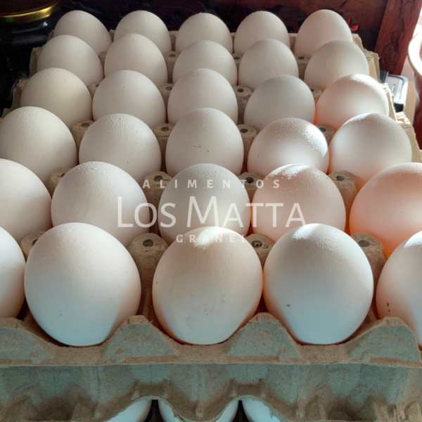 Huevos Blancos . Tamaño Extra